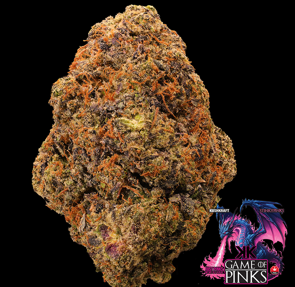7G Game of Pinks - Presidential Pink