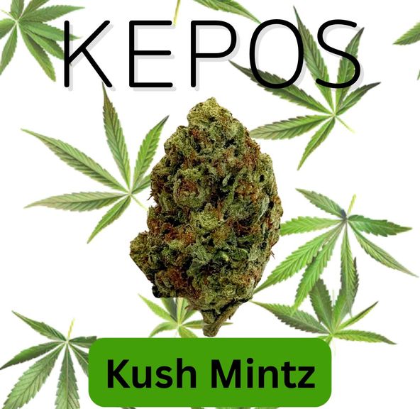 Kepos - Kush Mintz 3.5g