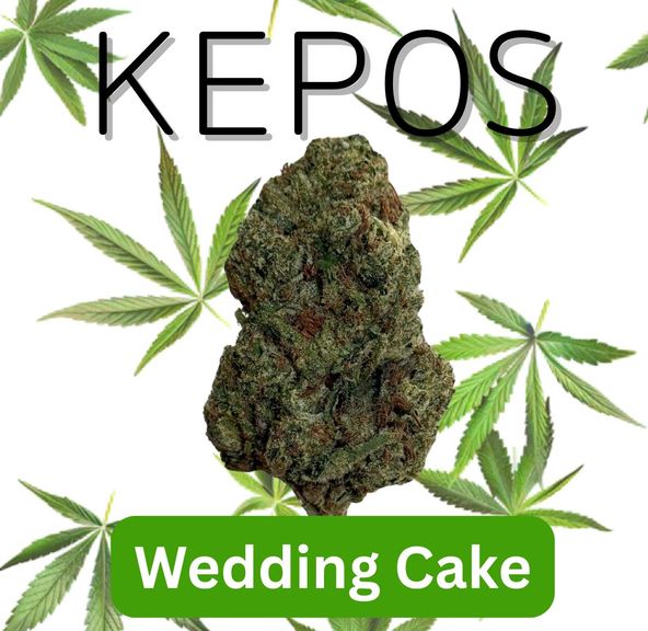 Kepos - Wedding Cake 14g - PREMIUM FLOWERS