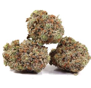 Flower-Cement Shoes Bulk