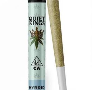 Quiet Kings Mimosa $3
