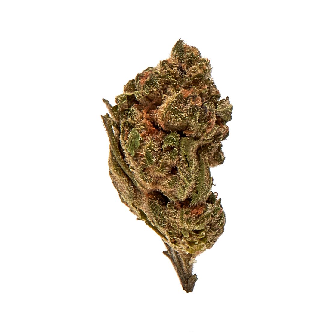 Space Gelato Cookies 14g