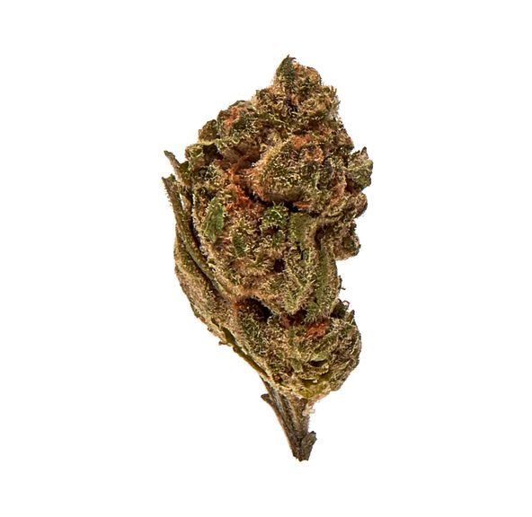 Space Gelato Cookies 14g