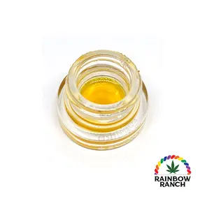 Head Doctor Live Resin Sauce | 1g | Golden Road Extracts
