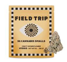 FIELD TRIP - HIGHLIGHTER - (smalls) - 5G - HYBRID