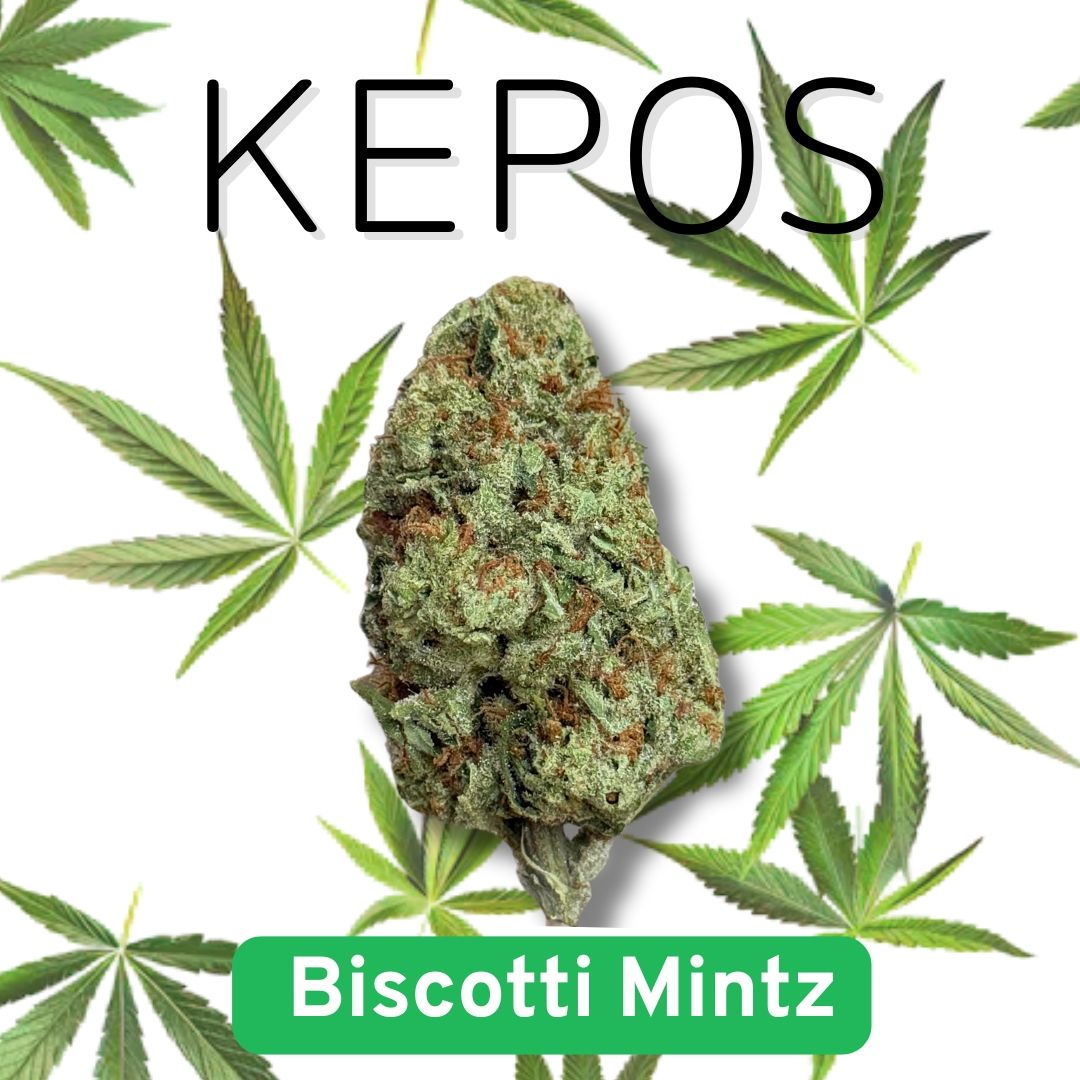 Kepos - Biscotti Mintz 3.5g - PREMIUM FLOWERS