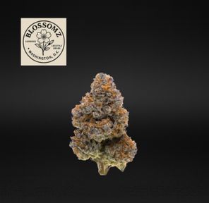Blossomz | Cement Shoes - Flower | 3.5g | Indica-Hybrid