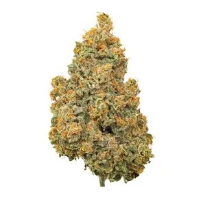 BC Kush $100 ozz