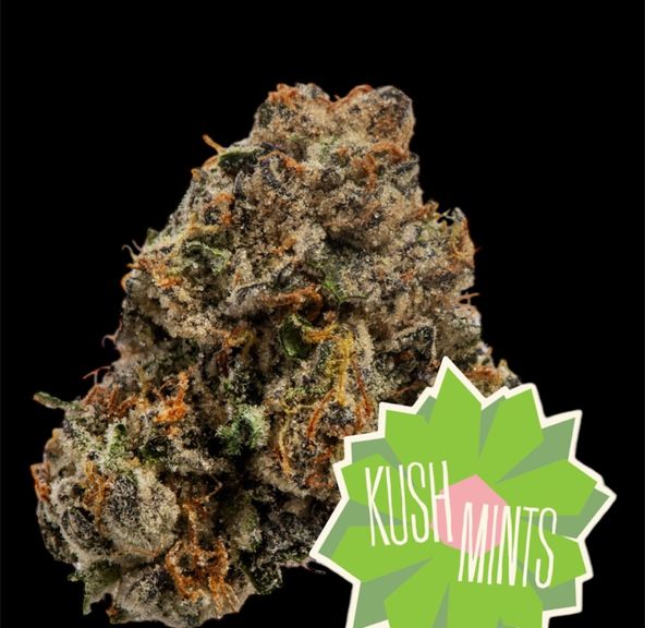 Flower- Kush Mintz 3.5g