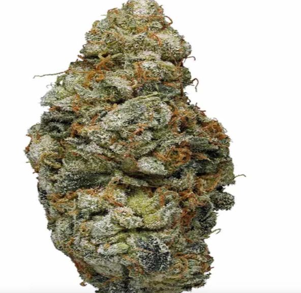 Cali Bricks