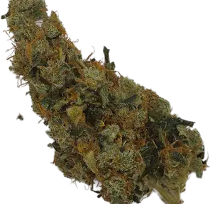 Ak47 Sativa Flower
