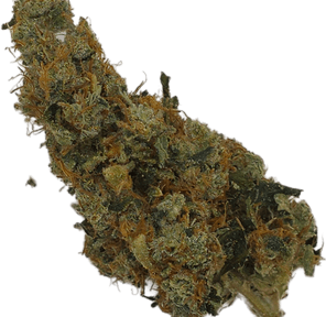 Ak47 Sativa Flower