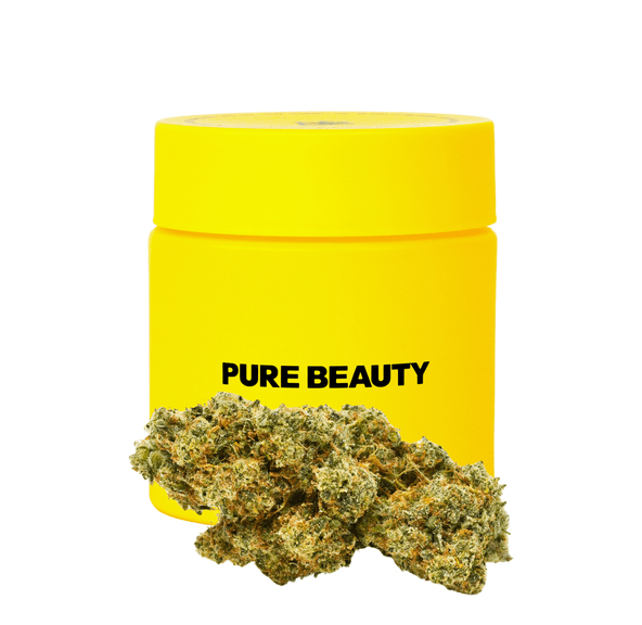 Pure Beauty | Flower | 3.5g | Blue Dream