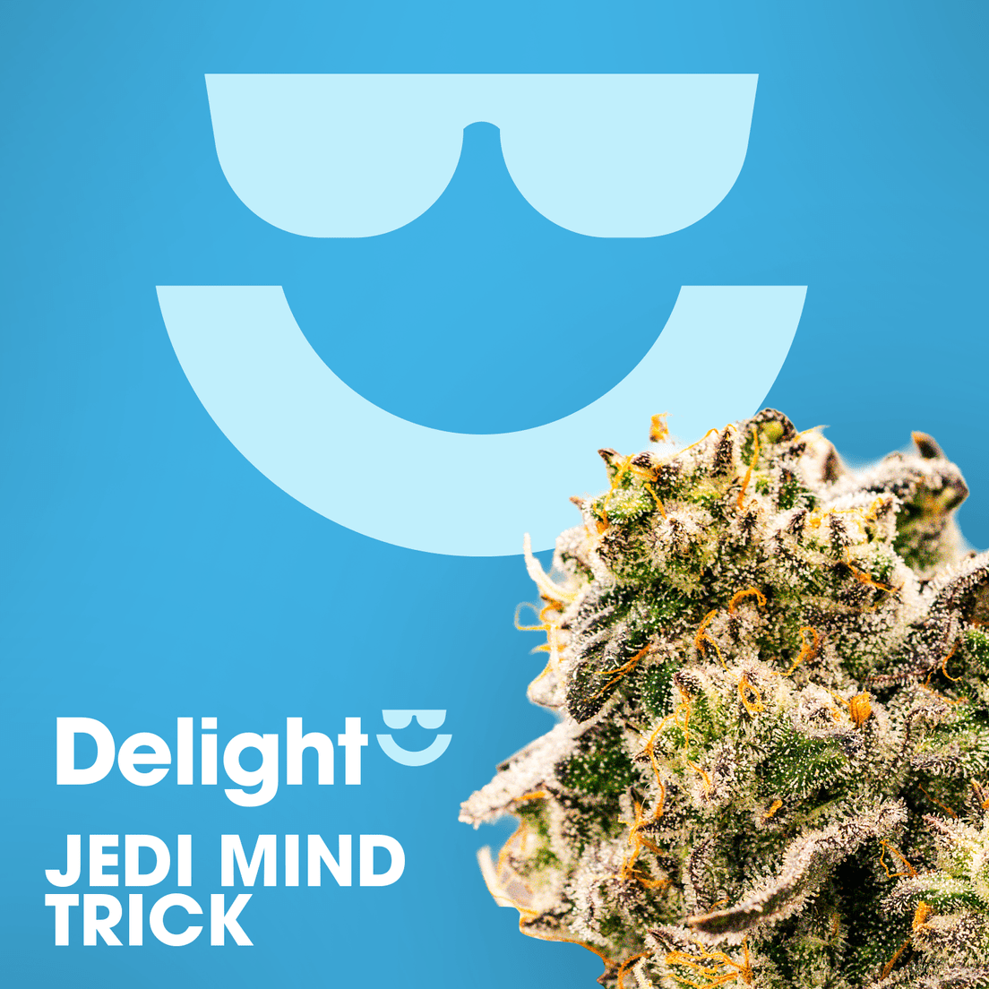 Delight | Jedi Mind Trick | 3.5g Flower