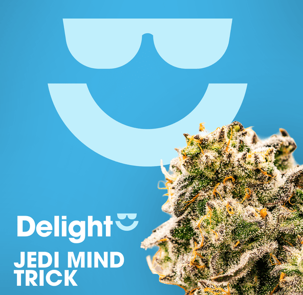 Delight | Jedi Mind Trick | 3.5g Flower