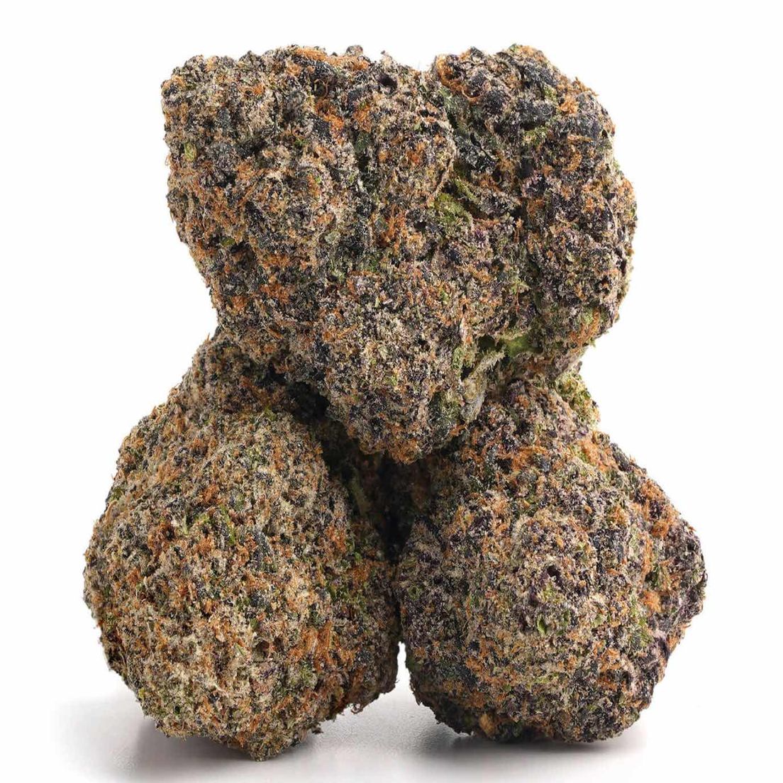 Flower-Purple Nerdz