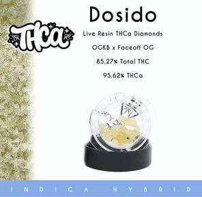 Beezle Extracts - THCa - Dosido - 1 g