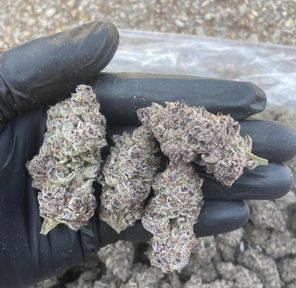 : Super Buff Cherry | Flower | Hybrid | Mediums