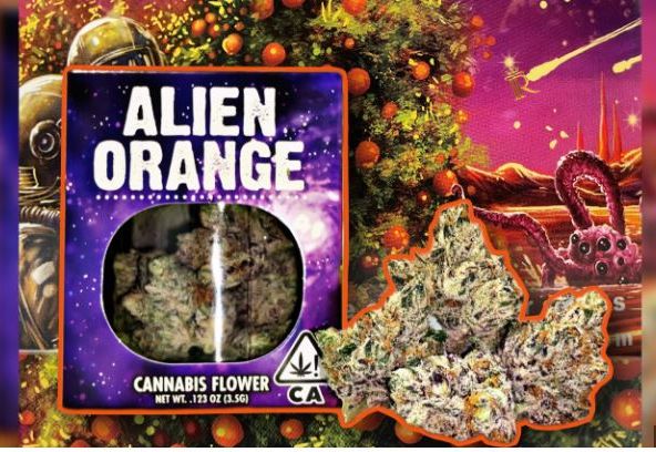 Decibel Gardens - Alien Orange - 3.5 grams