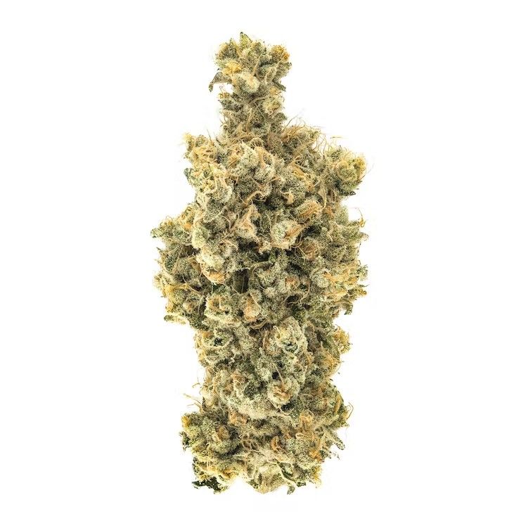 Caramel Apple Romulan