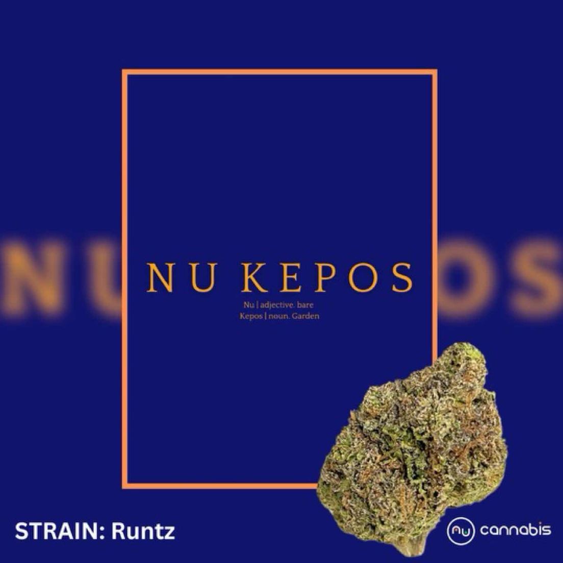 Runtz