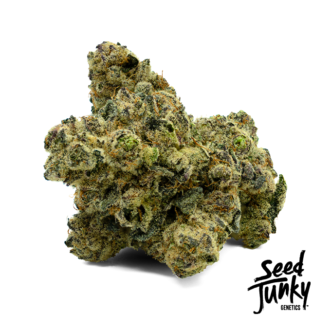 Seed Junky - 14g Smalls (Magic Shotz)