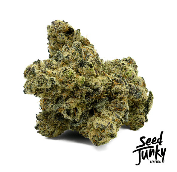 Seed Junky - 14g Smalls (Magic Shotz)