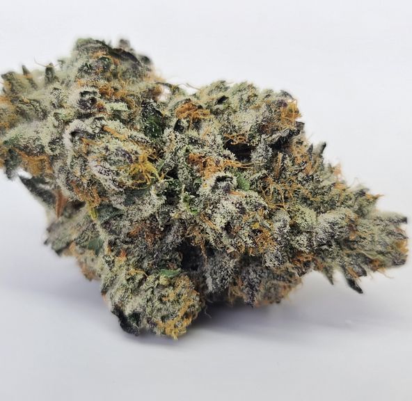 Ice Cream Cake Jar 1/8TH Indoor FARM2LAB