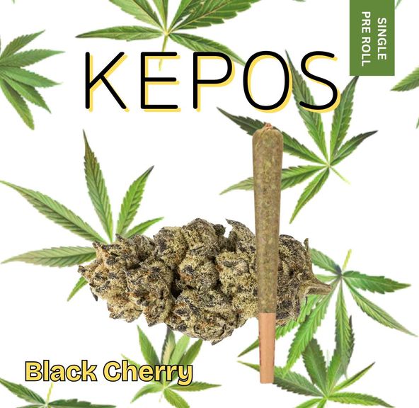 Kepos - Black Cherry 1.2g - PRE ROLL