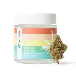 Caliva - Motormouth - 3.5G - 33.63% THC