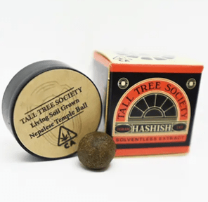 "The Original Z" - Temple Ball