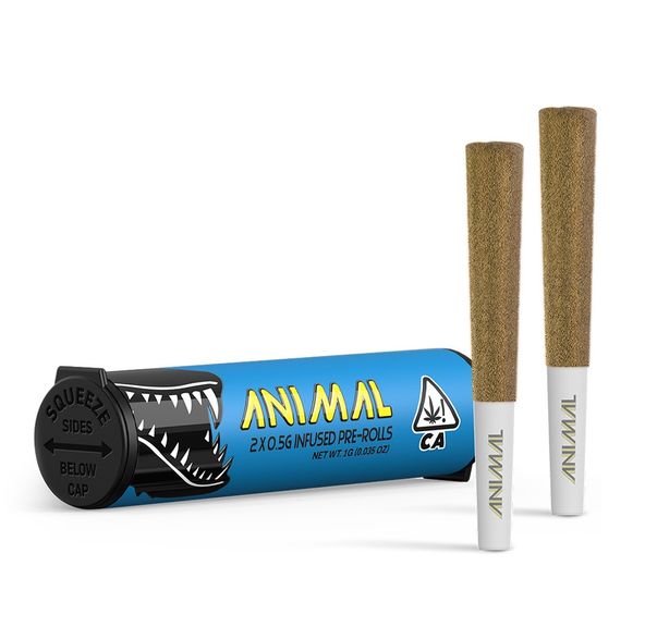 Animal- Blueberry Pie 2pk Infused Prerolls (I)