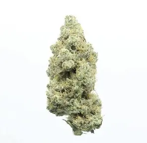Upnorth Platinum Afghani $45