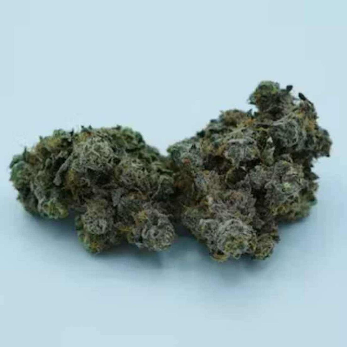 Apple Fritter