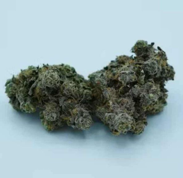 Apple Fritter