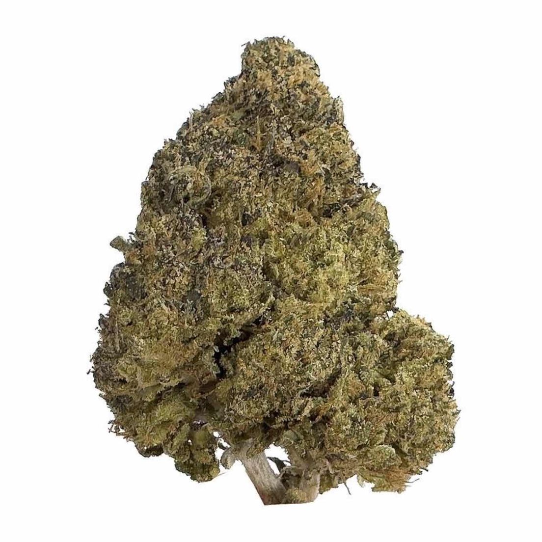 Greasy Pink $130