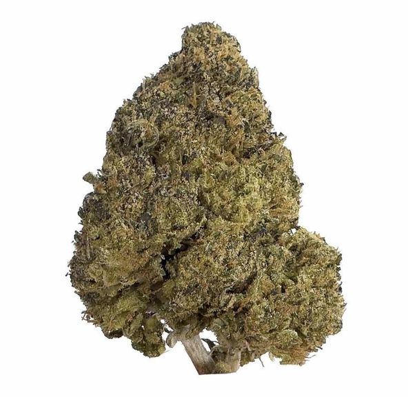 Greasy Pink $130