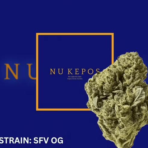 Kepos - SFV 3.5g