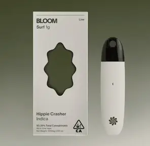 BLOOM: Hippie Crasher
