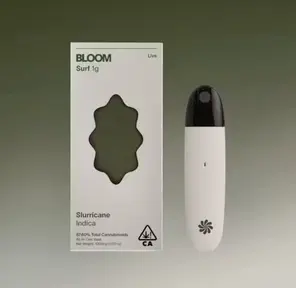 BLOOM: Slurricane Live Surf