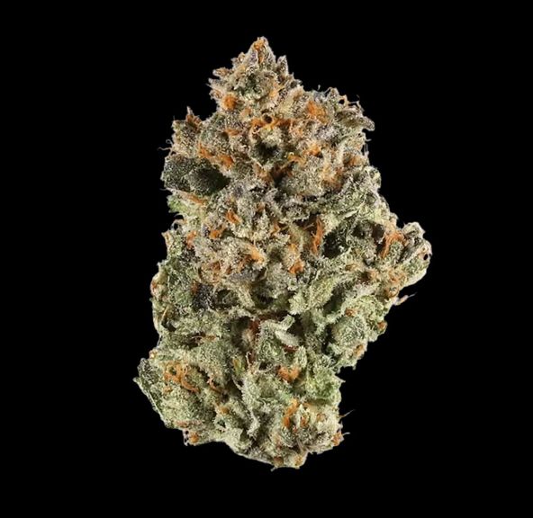 HUMBOLDT GROWERS NETWORK - GOOSFRABA 28G INDICA