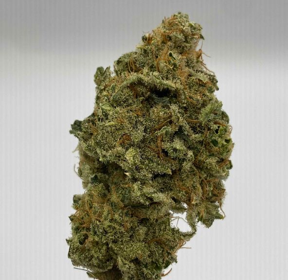 Peach Crescendo