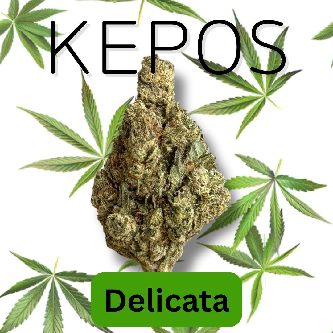 Kepos - Delicata 14g
