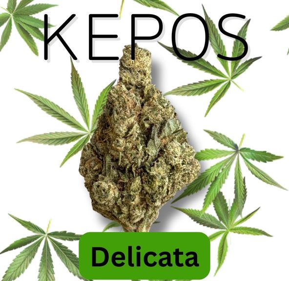 Kepos - Delicata 14g