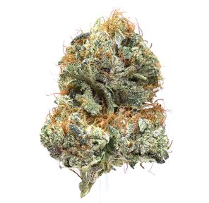 Blueberry [CE]
