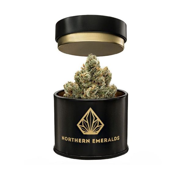 Durban Poison