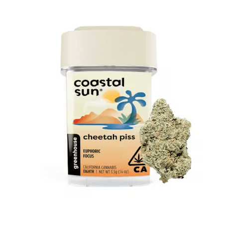 Coastal Sun - Cheetah Piss 3.5g