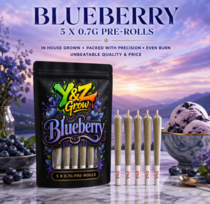0.7g Pre-Roll: Blueberry (I) 5 Pack