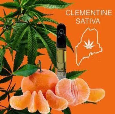 Clementine Highcoast 1G