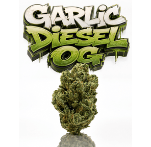 GARLIC DIESEL OG - 14G | PREMIUM FLOWER | INDICA